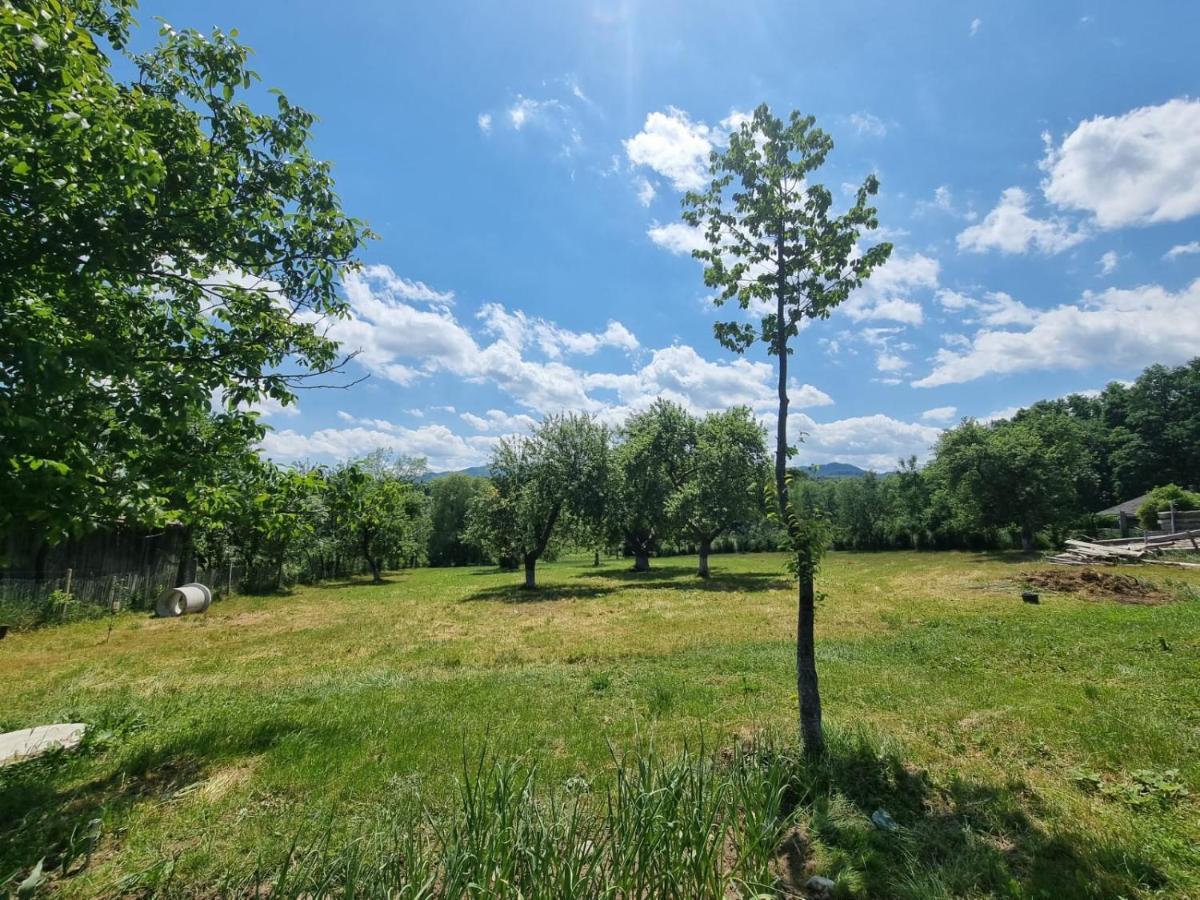Casa Primitoare In Inima Naturii Si Padurii Rasca  Exterior foto